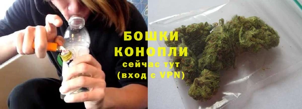 прущие грибы Белоозёрский
