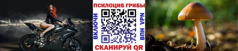 Купить  Гаврилов-Ям  Псилоцибиновые грибы Psilocybe 